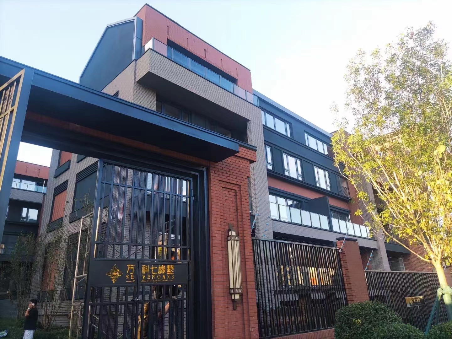 1665299740626718.jpg 3451df99-cccf-4805-a3e8-3723018714fa.jpg